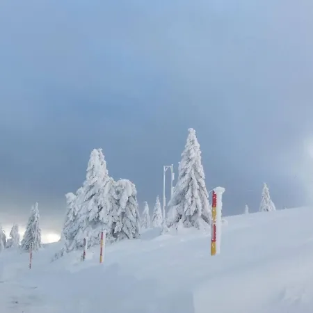 Appartement D&v Milmari S10