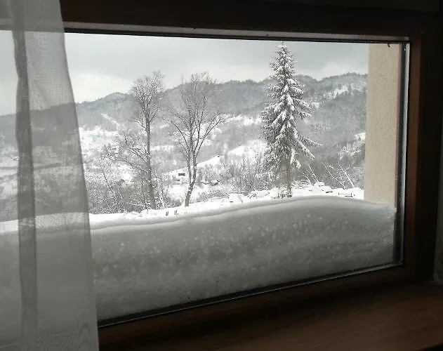 D&v Milmari S10 * Копаоник