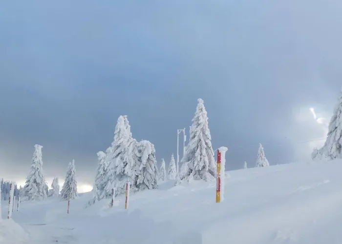 Apartament D&v Milmari S10