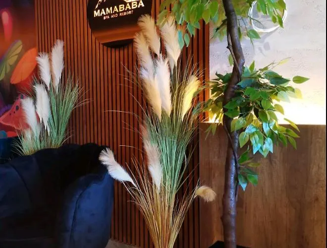 D&v Milmari S10 * Копаоник